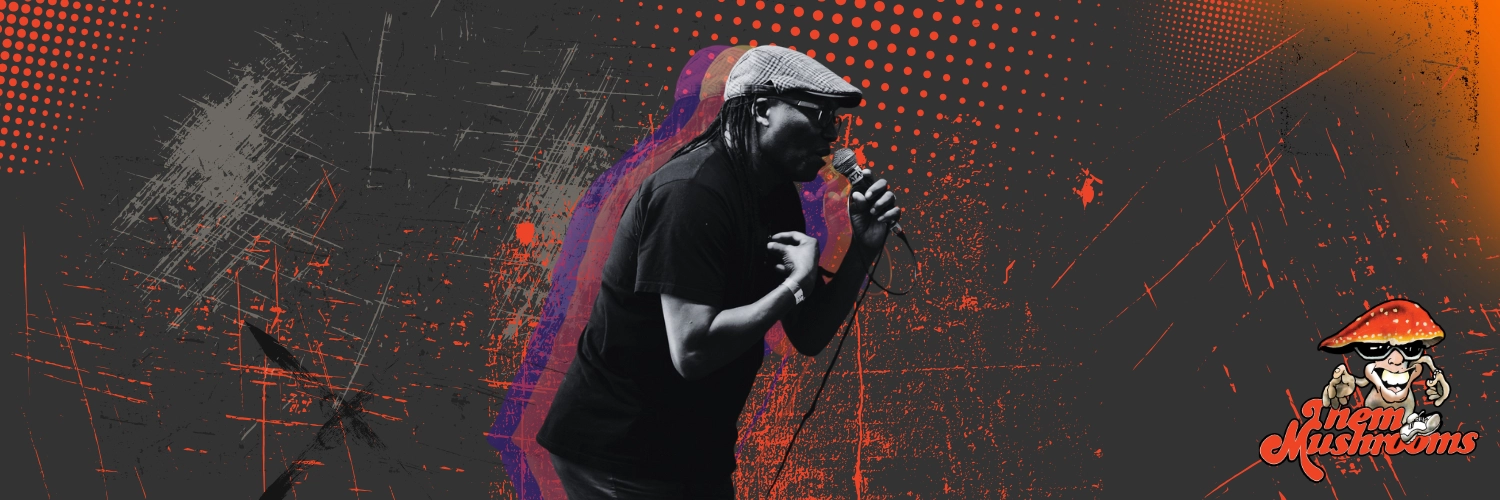 Slider 12